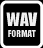 WAV fotmat